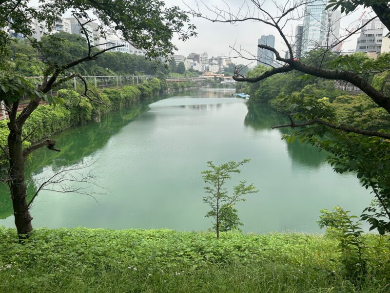 皇居外濠２